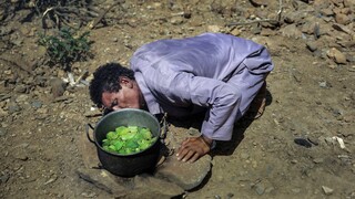Υεμένη: Στα πρόθυρα λιμού η χώρα - Άμεση ανάγκη για χρηματοδότηση και εισαγωγή σιτηρών