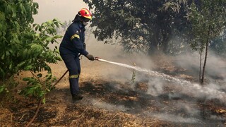 Εύβοια: Υπό έλεγχο η φωτιά στην Αμάρυνθο - «Τροφοδοτήθηκε» από ξερά χόρτα και σκουπίδια