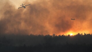 Πυρκαγιά στην Βαρυμπόμπη: Καλούνται ως ύποπτοι 107 πυροσβέστες για τις φωτιές του 2021