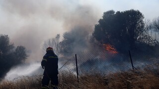 Πολιτική Προστασία: Οι «επικίνδυνες» περιοχές για εκδήλωση φωτιάς την Κυριακή