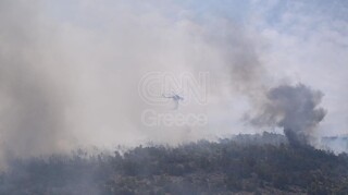Δήμαρχοι Γλυφάδας και Ελληνικού: Η φωτιά ξεκίνησε από υποσταθμό του ΔΕΔΔΗΕ