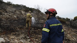Οριοθετήθηκε η φωτιά στην Αρτέμιδα: Μια «ανάσα» από τα σπίτια έφτασαν οι φλόγες
