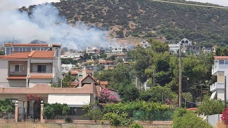 Δήμαρχος Αρτέμιδος στο CNN Greece: Η φωτιά έφτασε μέχρι τα σπίτια - Κάηκαν δέντρα στις αυλές τους