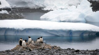 Για πρώτη φορά βρέθηκαν μικροπλαστικά σε φρέσκο χιόνι στην Ανταρκτική