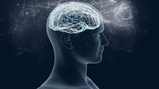 Έρευνα: Ο ανθρώπινος εγκέφαλος αναπτύσσει θερμοκρασίες «καύσωνα» πάνω από τους 40 βαθμούς Κελσίου