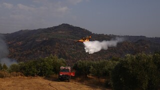 Φωτιά στη Σκόπελο: Στη «μάχη» και εναέρια μέσα