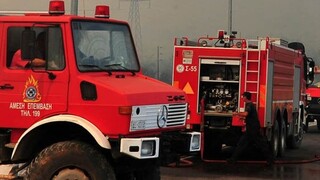 Φωτιά στη Φωκίδα: Ισχυρή κινητοποίηση της Πυροσβεστικής