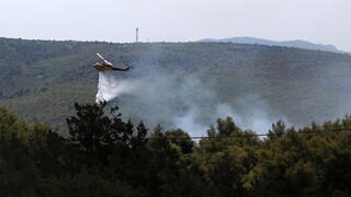 Σε ένα 24ωρο 39 πυρκαγιές: Σε ύφεση η φωτιά στη Χαλκιδική, οριοθετήθηκε στη Φθιώτιδα