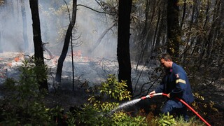 Πολιτική Προστασία: Πολύ υψηλός κίνδυνος πυρκαγιάς σήμερα - Στο πορτοκαλί η Ρόδος