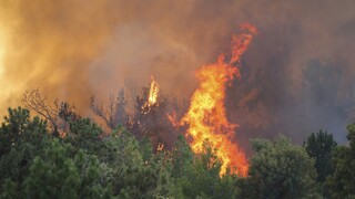 Τουρκία: Μεγάλη πυρκαγιά καίει το τουριστικό θέρετρο της Μαρμαρίδας