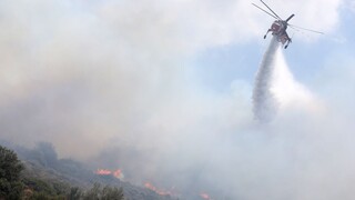 Πυρκαγιά στο Άγιο Όρος: Συνεχίζονται οι προσπάθειες κατάσβεσης – Από αέρος κυρίως η «μάχη»