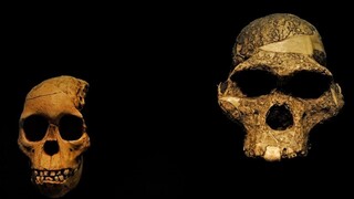 H γυναίκα των σπηλαίων είναι ένα εκατομμύριο χρόνια μεγαλύτερη απ' ό,τι πίστευαν οι επιστήμονες