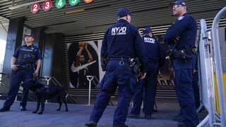 Νέα Υόρκη: Άγνωστος πυροβόλησε και σκότωσε 20χρονη που έβγαλε βόλτα το μωρό της