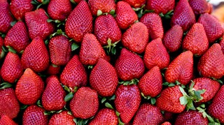 Νέο ιστορικό ρεκόρ για τις ελληνικές εξαγωγές φράουλας