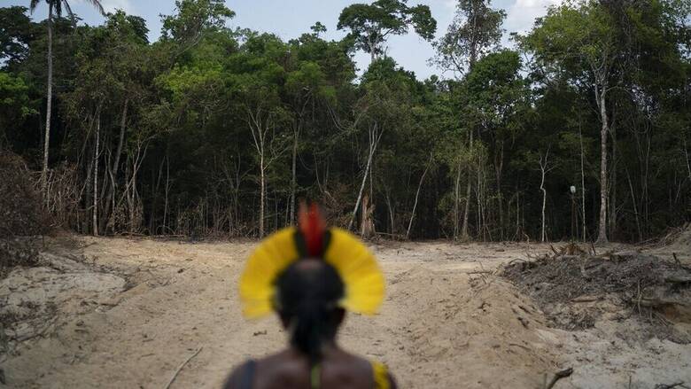 «Αιμορραγεί» ο Αμαζόνιος: Ρεκόρ καταστροφής και αποψίλωσης του «πνεύμονα» της Γης