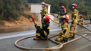 Πολύ υψηλός κίνδυνος φωτιάς σήμερα: Σε επιφυλακή η Πυροσβεστική - Έκτακτα μέτρα, συνεχείς περιπολίες