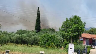 Μάχη με τις φλόγες σε τρία μέτωπα δίνει η Πυροσβεστική - Σε εξέλιξη φωτιές σε Εύβοια, Ηλεία, Αττική