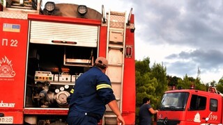 Υπό έλεγχο οι φωτιές σε Κάρυστο, Παιανία, Σαλαμίνα - Υπ΄ατμόν η Πυροσβεστική σχεδόν σε όλη τη χώρα