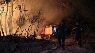Φωτιά σε Αχαΐα και Ηλεία: Εκκενώθηκαν οικισμοί - Δύσκολη νύχτα για τις πυροσβεστικές δυνάμεις