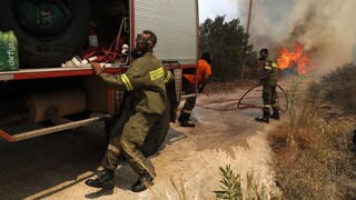 Φωτιά στις Πόρτες Αχαΐας: Μαίνεται το μέτωπο - Εκκενώνεται το χωριό Βάλμη