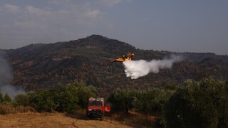 Φωτιά στην Αχαΐα: Εκκενώνεται και ο οικισμός Αγραπιδοχώρι