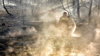Πολύ υψηλός ο κίνδυνος πυρκαγιάς σήμερα για πέντε περιφέρειες της χώρας - 110 φωτιές σε ένα 24ωρο