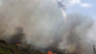 Φωτιά στην Άμφισσα: Μάχη με τις φλόγες σε δύο μεγάλα μέτωπα με ισχυρούς ανέμους