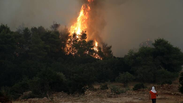Φωτιά στην Άμφισσα: Οι φλόγες απειλούν την βόρεια Ιτέα - Απομακρύνονται οι κάτοικοι