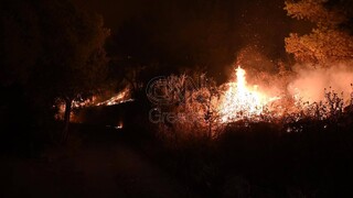Δύσκολη νύχτα στη Φωκίδα: Τα έξι κρίσιμα σημεία της μεγάλης πυρκαγιάς