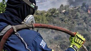 Οριοθετήθηκε η φωτιά στο Άγιο Όρος - Παραμένουν οι πυροσβεστικές δυνάμεις