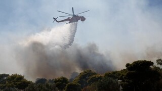 Συναγερμός στην Πυροσβεστική: Φωτιά στο Πόρτο Γερμενό