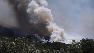 Φωτιές - Έκτακτη ενημέρωση της Πυροσβεστικής: 65 δασικές πυρκαγιές σε ένα 24ωρο
