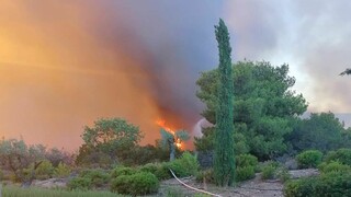 Φωτιά στο Κρανίδι: Το ξενοδοχείο που παραδόθηκε στις φλόγες αναστέλλει προσωρινά τη λειτουργία του