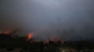 Φωτιά στην Ηλεία: Καίει σε δασική έκταση στον Πύργο