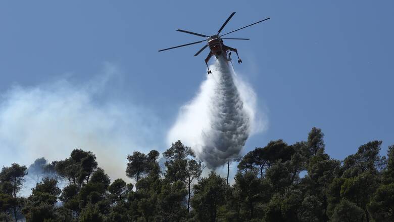 Φωτιά στην Ηλεία: Μάχη της Πυροσβεστικής να ελεγχθεί το μέτωπο έξω από το χωριό Κορυφή