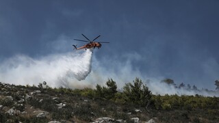 Φωτιά στις Σέρρες: Δασική πυρκαγιά στο Νέο Πετρίτσι - Επι ποδός η Πυροσβεστική