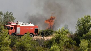 Φωτιά στις Σέρρες: Οριοθετήθηκε η πυρκαγιά στο Νέο Πετρίτσι