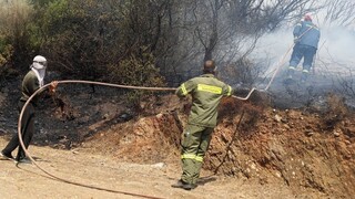 Φωτιά στο Μαρούσι: Παρέμβαση των πυροσβεστών για την εστία κοντά σε σπίτια