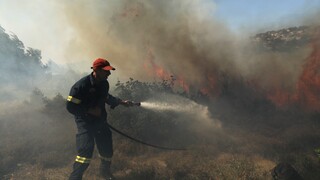 Φωτιά στην Εύβοια: Μάχη με τις φλόγες σε δάσος στη Γιάλτρα