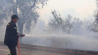 Υπό μερικό έλεγχο η φωτιά στην Εύβοια - Σε ύφεση τα τρία μέτωπα στην Ηλεία