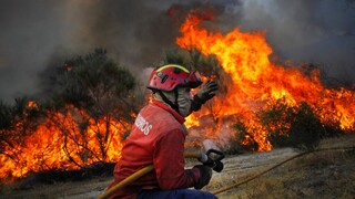 Πορτογαλία: Μαίνονται καταστροφικές πυρκαγιές με 29 τραυματίες