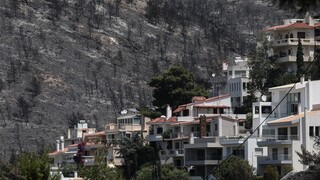 Κωνσταντέλλος: Να ανακηρυχθεί αναδασωτέα η περιοχή που κάηκε στη Βούλα - Άμεσα αντιπλημμυρικά έργα