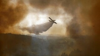 Μεγάλες δασικές πυρκαγιές σε Πορτογαλία, Ισπανία και Γαλλία εν μέσω ακραίου καύσωνα