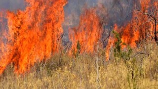 Συνολικά 264 δασικές πυρκαγιές την τελευταία εβδομάδα - Tι προβλέπεται για αύριο Πέμπτη