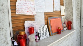 Θάνατοι Μαλένας και Ίριδας: Κατέθεσε υπόμνημα η Πισπιρίγκου - Τι λέει για τα σημάδια στα παιδιά