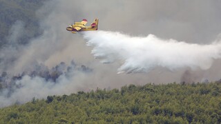 Φωτιά στην Κάρυστο: Συναγερμός στην Πυροσβεστική - Ισχυροί άνεμοι στην περιοχή