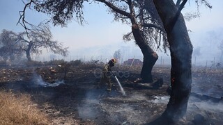 Φωτιά: Μάχη με τις φλόγες σε δύο μέτωπα στο Ρέθυμνο - Οριοθετήθηκε στη Φέριζα, σε ύφεση στην Κέρκυρα