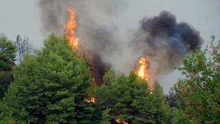 Φωτιές: Στο «κόκκινο» πέντε περιοχές το Σάββατο - Στην κατηγορία κινδύνου 4 και η Αττική