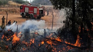 Φωτιά στο Ναύπλιο: Επίγειες και εναέρειες δυνάμεις στην περιοχή Πυργιώτικα