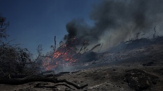 Φωτιές: Υψηλός κίνδυνος πυρκαγιάς την Κυριακή στην Αττική και ακόμα τέσσερις περιοχές